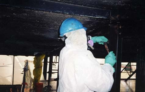 Native Environmental, LLC — attic cleaning services