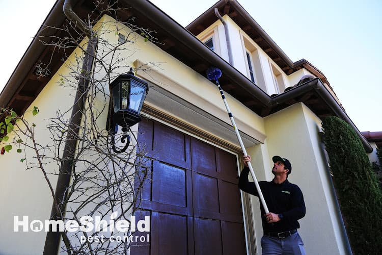 HomeShield Pest Control — attic cleaning company in Los Angeles, CA