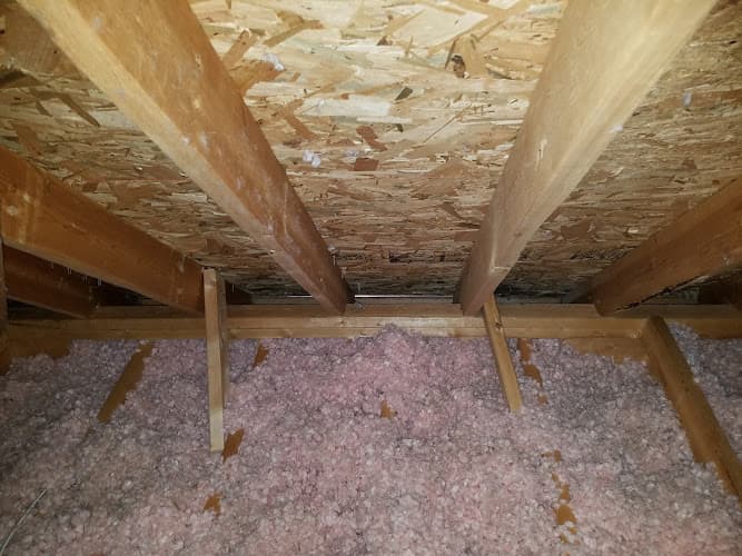 Wildlife Removal Specialist of Atlanta — attic cleaning company in Snellville, GA