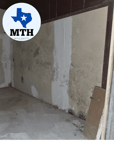 Mold Testing Houston- North Loop — attic cleaning services