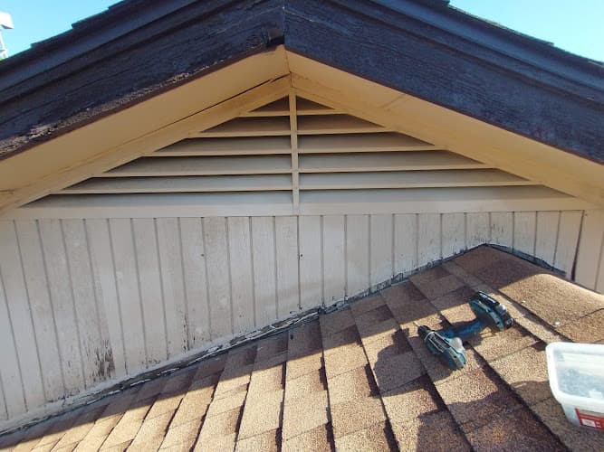 Dallas Fort Worth Wildlife Control — attic cleaning services