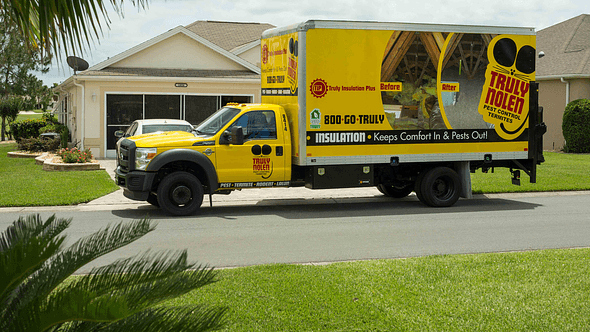 Truly Nolen Pest & Termite Control — attic cleaning company in Lewisville, TX