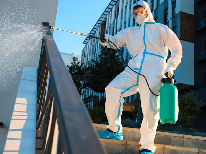 Pest One Pest Control — attic cleaning services