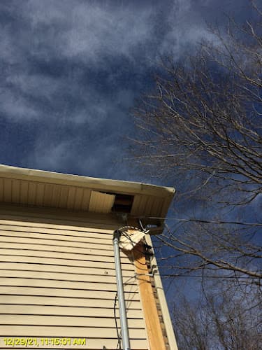 Wildlife X Team Nashville — attic cleaning services