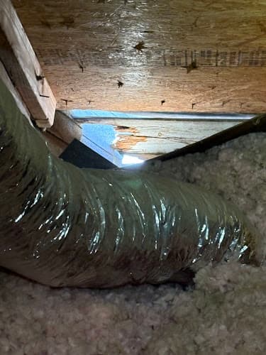 HomeDefense Wildlife Solutions — attic cleaning company in Sandy Springs, GA