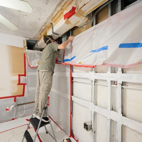 Mold Remediation Los Angeles — attic cleaning services