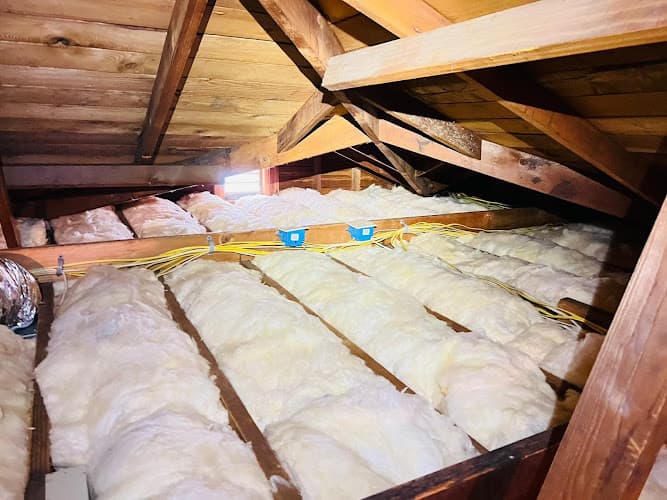 Attic & Mold Crew — attic cleaning services