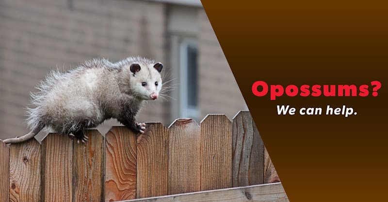 The Bug Master — attic cleaning services