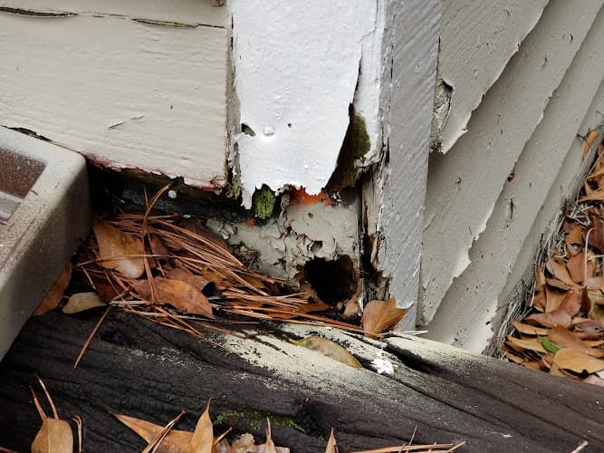 Perimeter Wildlife Control, LLC. — attic cleaning company in Woodstock, GA