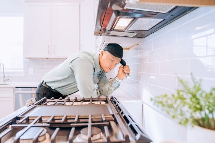 Specter Pest Control — attic cleaning services