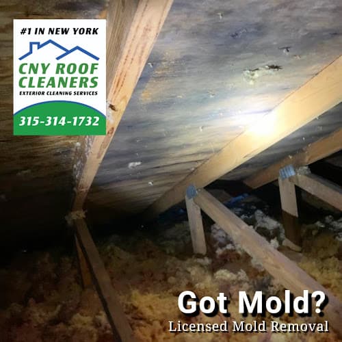CNY Roof Cleaners — attic cleaning services