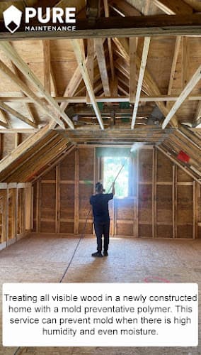 Pure Maintenance Mold Remediation - Jacksonville — attic cleaning services