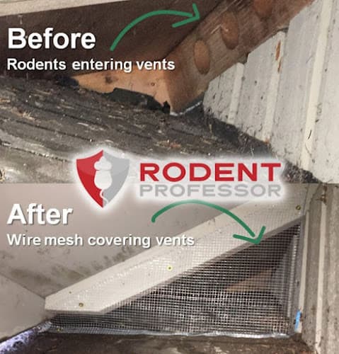 Rodent Professor ® — attic cleaning company in Los Angeles, CA